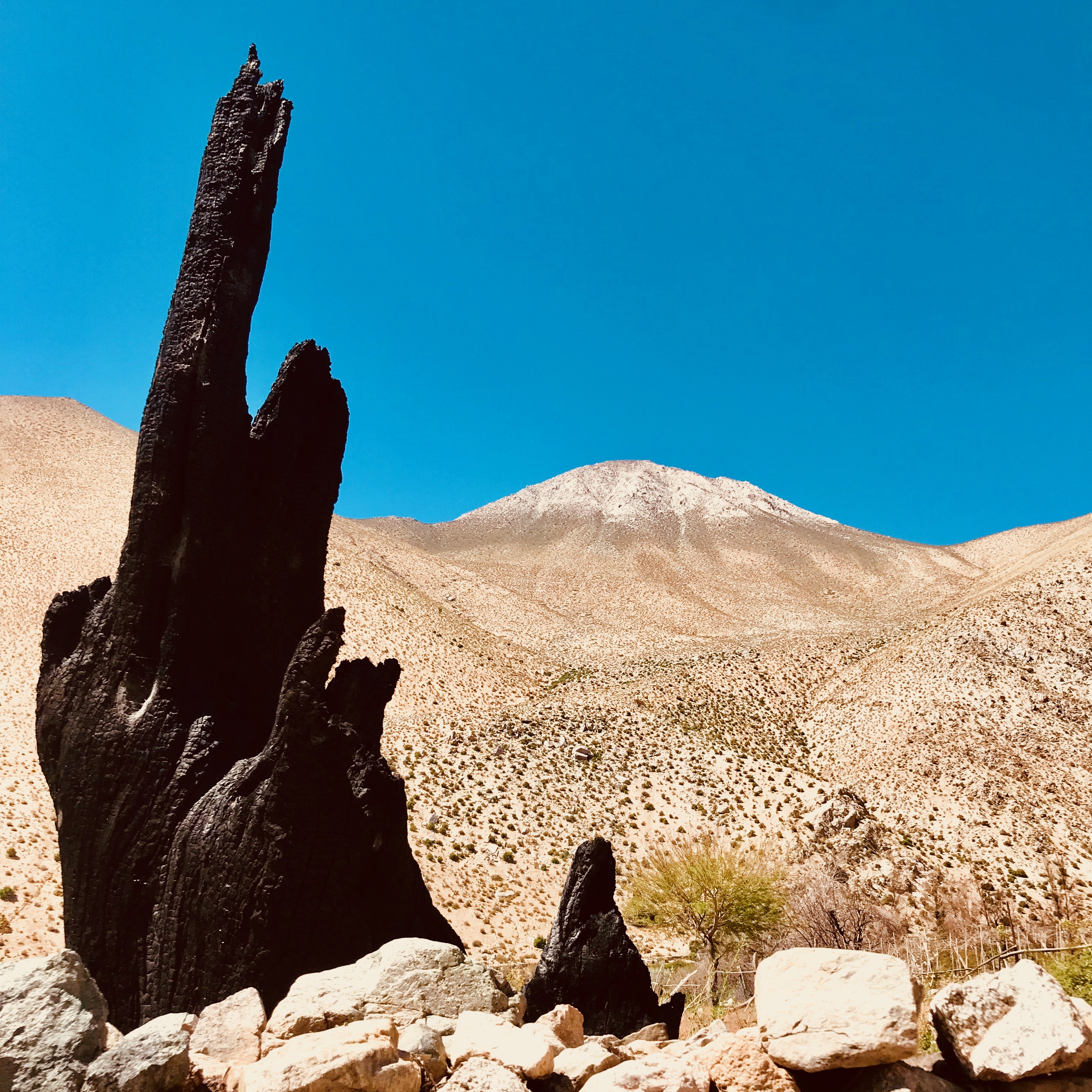 CHL: Valle de Elqui, Dedo 2