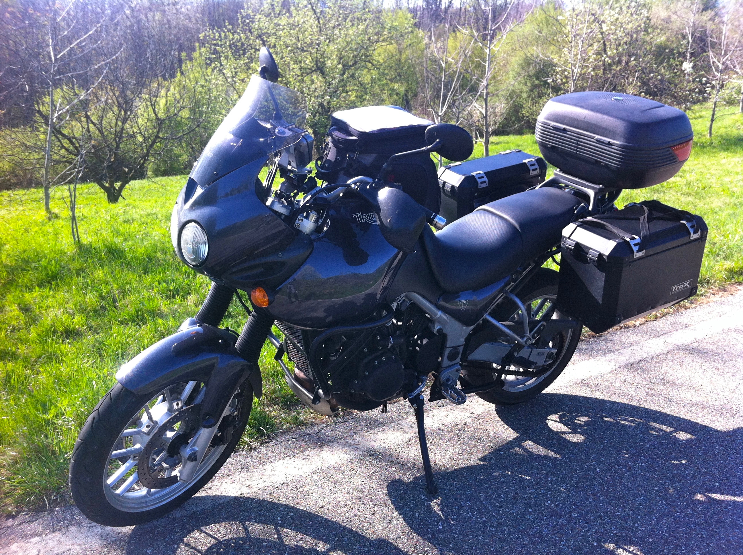 Tiger 955 Vollpack voerne li.jpg