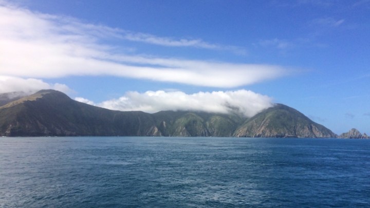 Südinsel Welcome, Marlborough Sounds